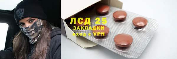 сатива Магадан