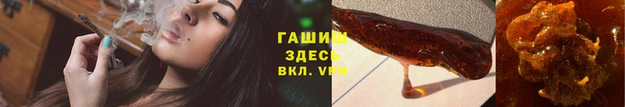 сатива Магадан