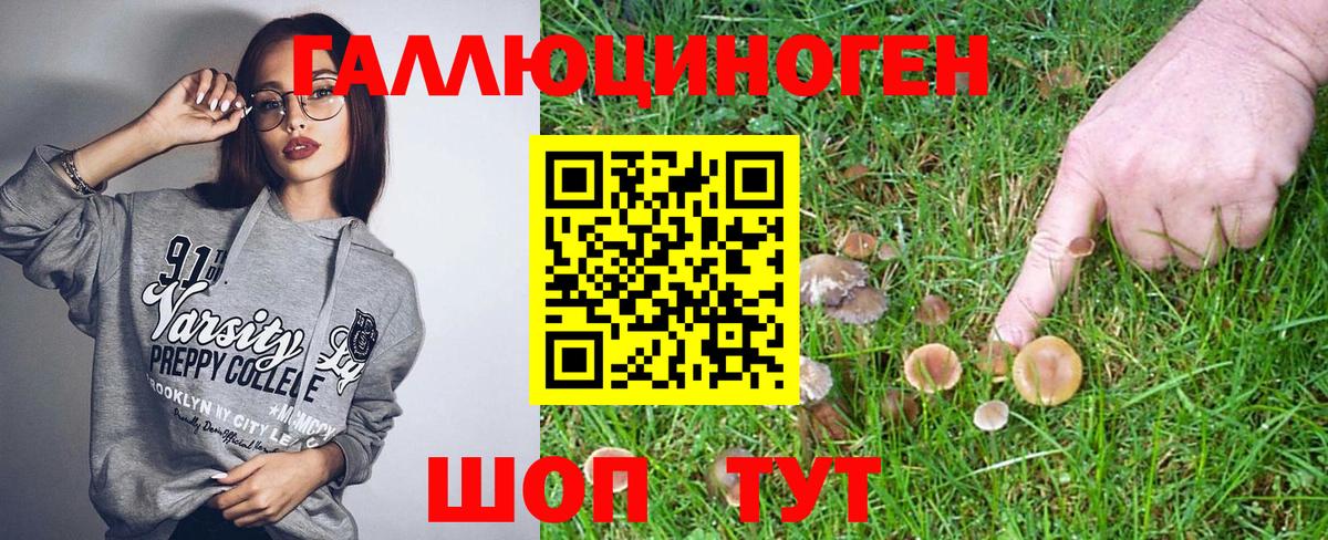 Псилоцибиновые грибы Psilocybe  Галлюциногенные грибы Magic Shrooms  Грозный  где найти наркотики  Вход с VPN 