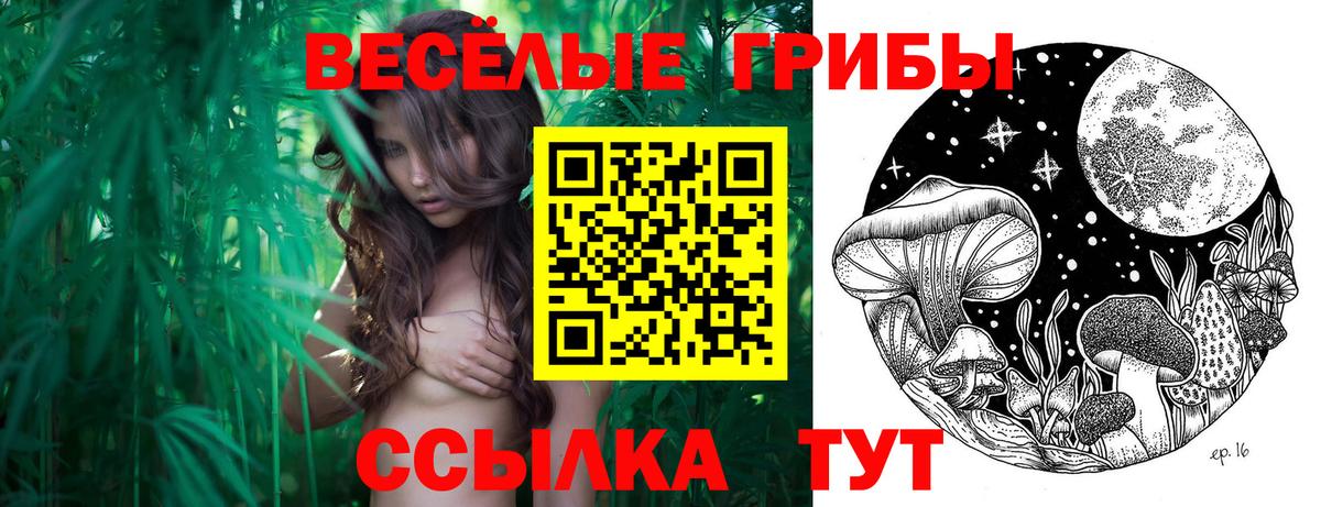 Псилоцибиновые грибы MAGIC MUSHROOMS Грозный